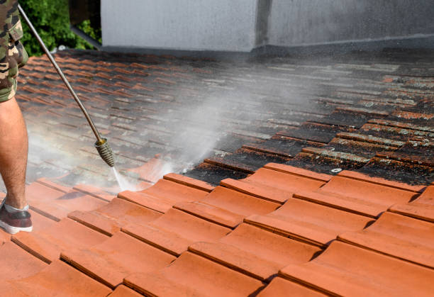 Best Power Washing Near Me  in Clarksdale, MS